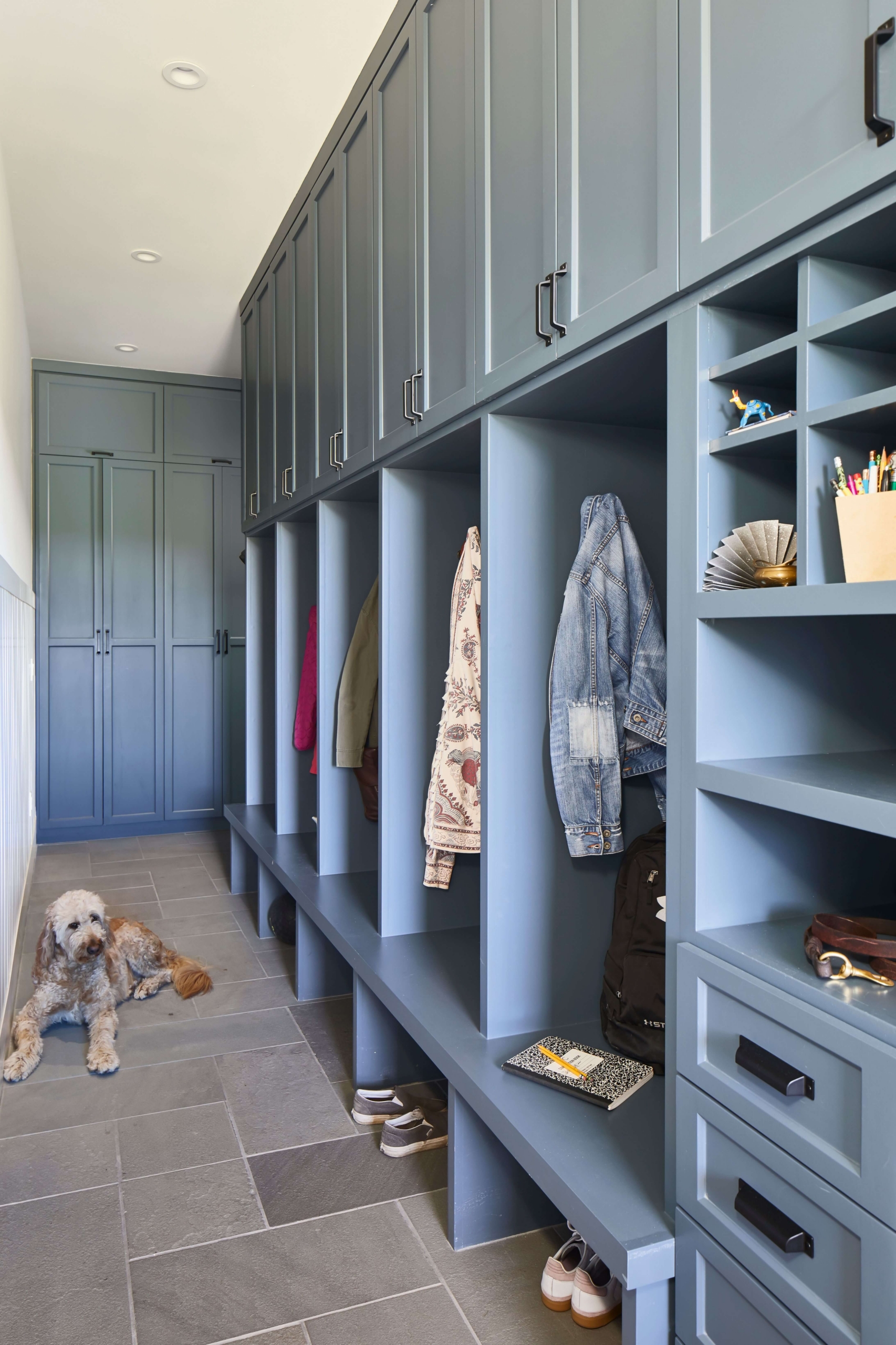 Mudroom with dog